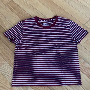 Everlane Striped Tshirt